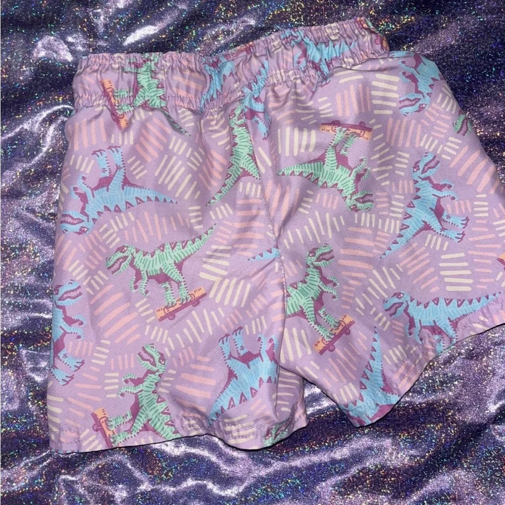Boys Dinosaur swim trunks